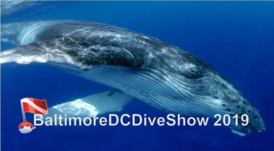 DC Dive Show